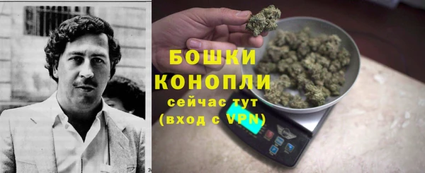 амф Аркадак