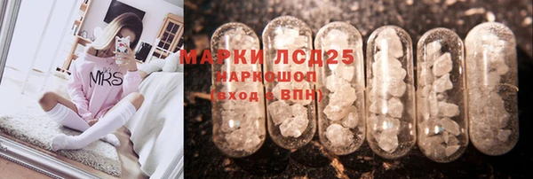 амф Аркадак