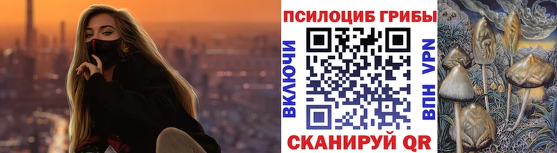 купить   Урень  мега как зайти  Псилоцибиновые грибы Cubensis 